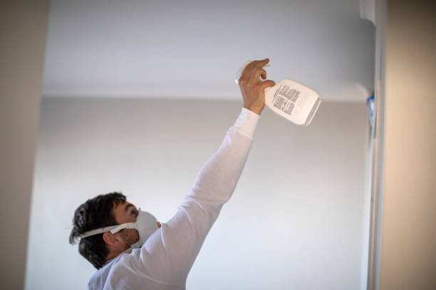 Best Mold Removal Process  in Raleigh Hills, OR