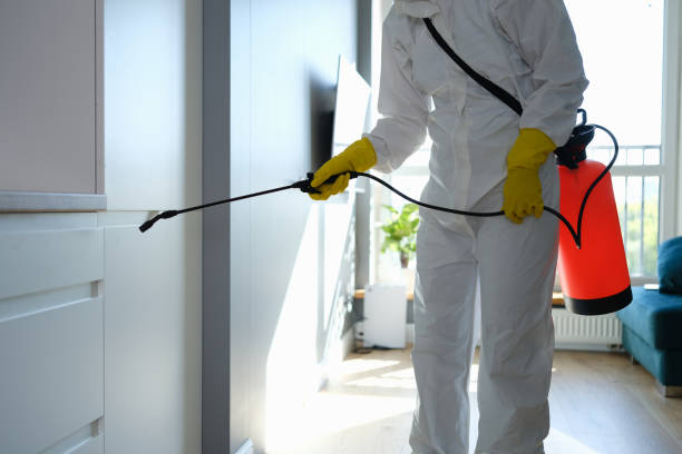 Best Certified Mold Removal  in Raleigh Hills, OR
